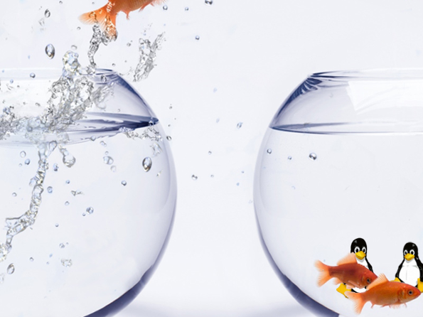 #4 - Click on image to download high res (1600 × 1200px) Linux wallpaper version