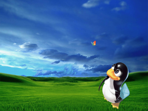 #6 - Click on image to download high res (1600 × 1200px) Linux wallpaper version