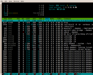 Fig.03: htop - Interactive Linux / UNIX process viewer