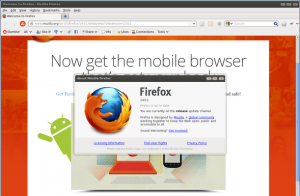Mozilla Firefox Version 14 Screenshot