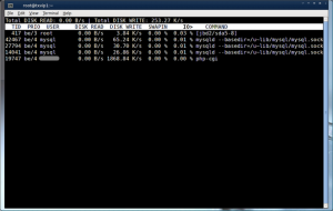 Fig.02: Only See Process Eating Your Disk I/O