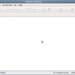 Shutter screenshot default window