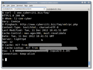 Fig.10: curl command in action