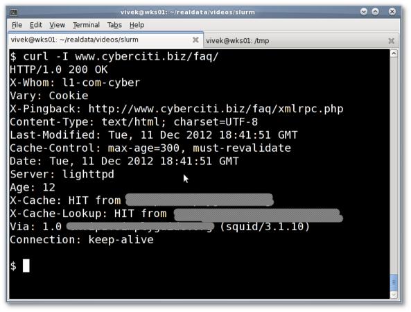 Fig.09: curl command in action