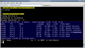 Fig.11: nc server and telnet client in action