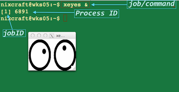 Fig.01: Running the xeyes command in the background