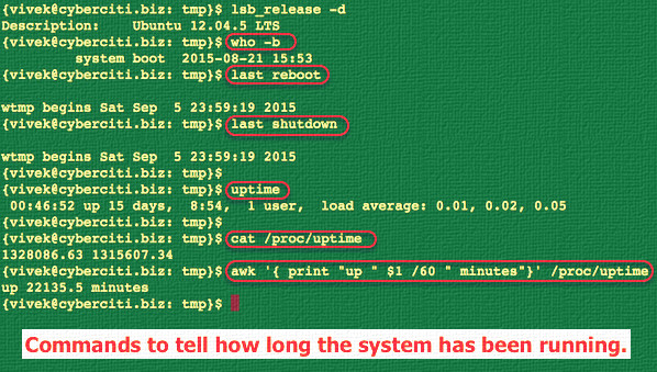Fig.01: Various Linux commands in action to find out the server uptime