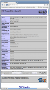 Fig.01: phpinfo script output