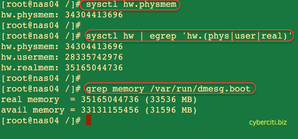 Fig.01: FreeBSD Command To Find How Much RAM is Installed On a Server
