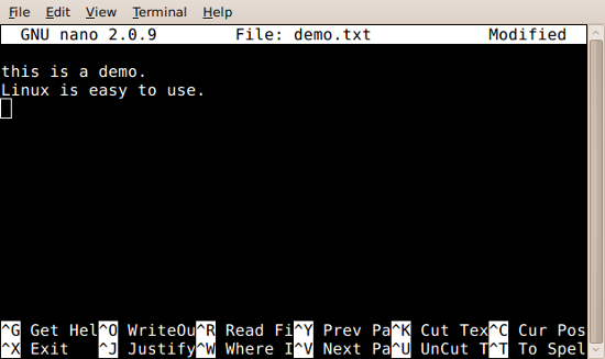nano demo screenshot