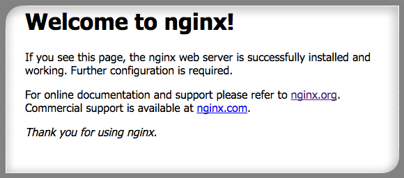 Fig.03: Nginx in action