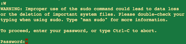 Fig.05: Sudo in action inside vim