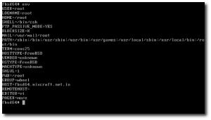Fig.01: Displaying all environment variables and their values command