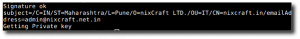 Fig.04: Generating The Actual Self Singed SSL Certificate