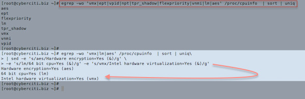 Fig.03: Finding Intel virtualization, encryption and 64 bit cpu in a single command