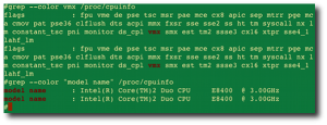 Fig.01: Linux check Intel VT -  if my server can run full virtualization or not