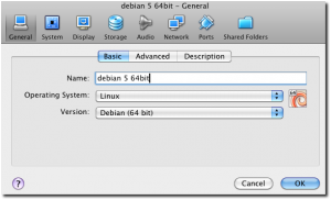 Fig.01: Linux Virtualbox Guest Settings