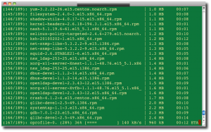 Fig.01: CentOS Upgrade In Progress Over The SSH Session