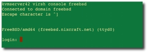Fig.01: Virsh console connected to FreeBSD guest