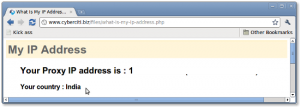 Fig.01: What is my ip address?