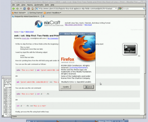 Fig.01: Firefox 3.x running under OpenBSD 4.9/AMD64