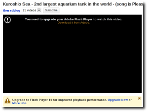 Fig.01: Linux Mozilla Firefox Adobe Flash Player Upgrade Screen