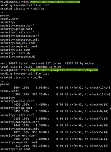 Fig.02: rsync command in action