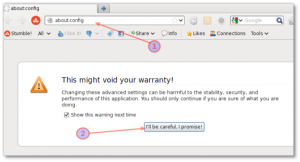 Fig.01: about:config settings