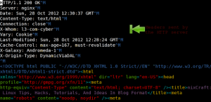 Fig.01: wget saving the http headers