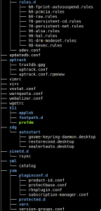 Fig.01: Linux tree Command To  Display Structure of Directory Hierarchy
