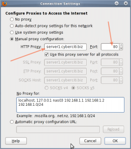 Fig.02: Firefox proxy settings
