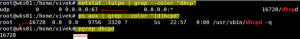 Fig.02: Verify That The DHCPD Server Is Running or Not