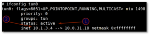 Fig.01: OpenBSD pptp client connected to the server