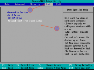 Fig.01: Sample pxeboot bios setting