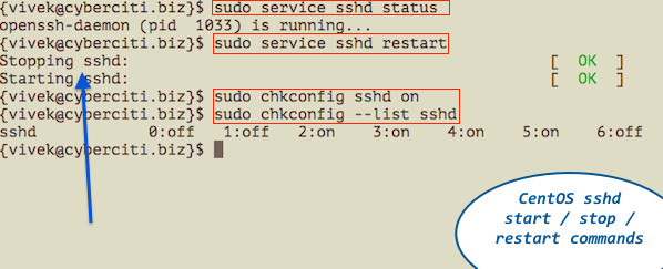 Fig. 01: service and chkconfig command in action