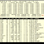 Linux Command To Check Server Uptime