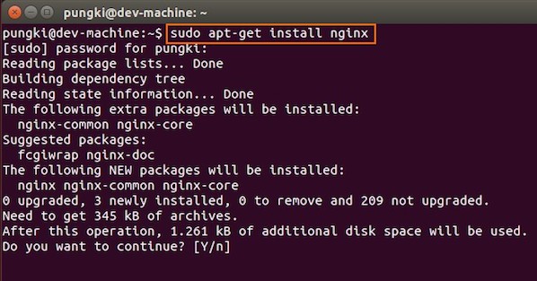 Fig.01: Download and Install Nginx on Ubuntu Linux