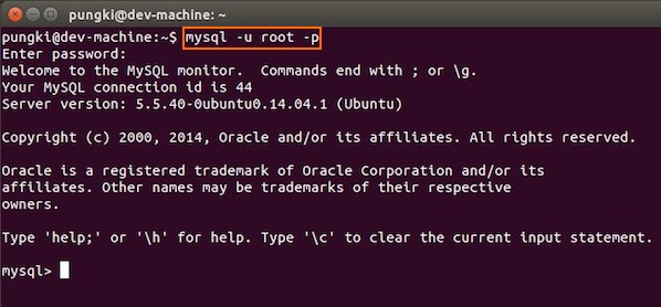 Fig.04: Ubuntu test Mysql installation