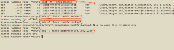 Fig.01: SSH Multiplexing Check The Status of The Connection