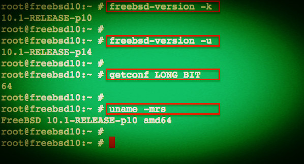 Fig.01: freebsd-version and other commands in action