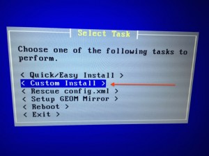 Fig. 05: Select task as "Custom Install"