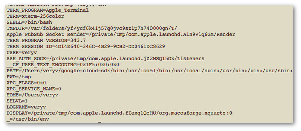 Fig.01: Unix/Linux: List All Environment Variables Command