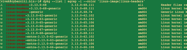 Fig.01: Check what kernel image(s) are installed on your system