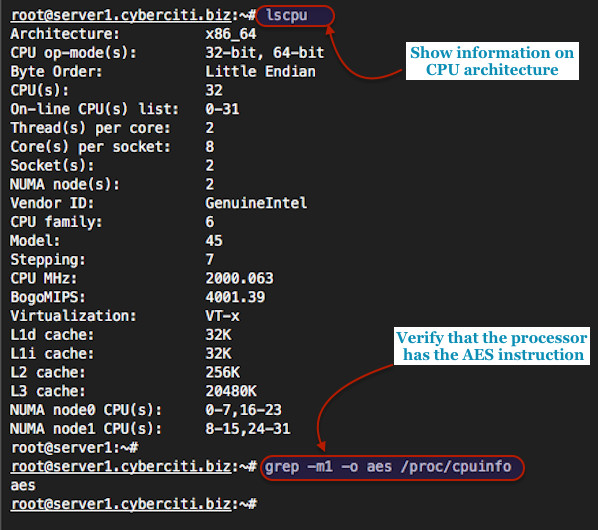 Fig.01: Linux Verify That Processor/CPU Has the AES-NI Instruction