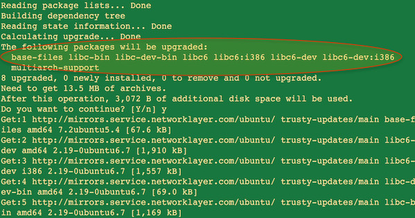 Fig.01: Fix the glibc vulnerability on a Ubuntu/Debian Linux