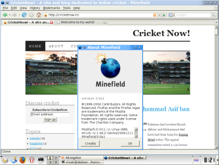 Firefox 3.0 picuture