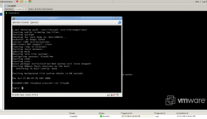 vmware-remote-console