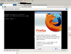 vmware-server-remote-console