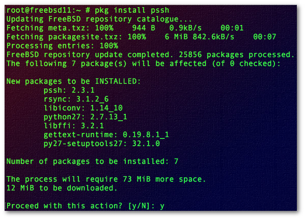 Fig.03: Installing pssh on FreeBSD 