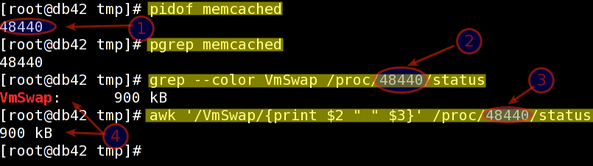 Fig.01: Finding out memcached process swap usage